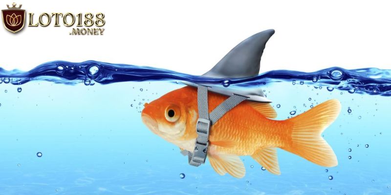 Loại bỏ đối thủ có ý xấu với các fish trong poker