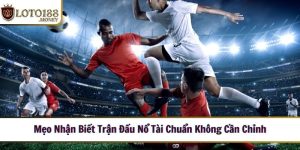 meo nhan biet tran dau 1